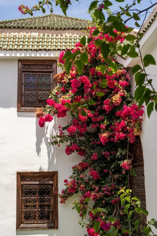 Riad Alma Marrakesz Zewnętrze zdjęcie