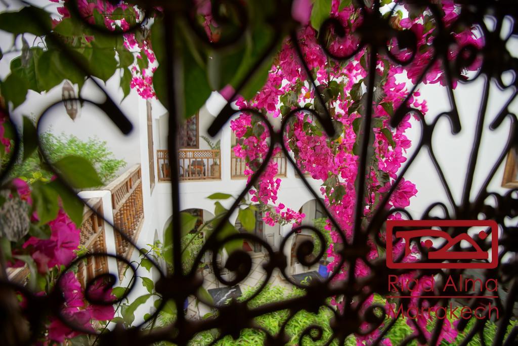 Riad Alma Marrakesz Zewnętrze zdjęcie